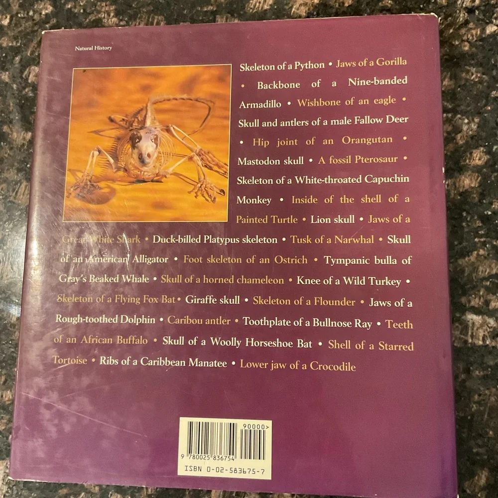 Bones: The Unity of Form and Function Book